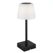 Globo XAYDEN asztali dekor lámpa fém, műanyag, fekete, fehér, LED, 2W, 3000-6500K, 100 Lm - 28061S