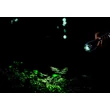 Globo LIGHTA zseblámpa fém, műanyag, fekete, LED, 3W, 5000-5500K, 100Lm - 31919