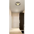 Globo JAYDEN mennyezet lámpa fém, műanyag, fekete, arany ,áttetsző LED, 12W, 3000-4000-6500K, 470Lm - 48042-12G