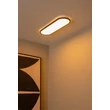 Lucide ELLY mennyezet lámpa műanyag, fekete, opál, LED, 24W, 2000lm, 2700K-4000K - 07121/24/30