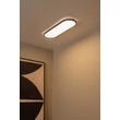 Lucide ELLY mennyezet lámpa műanyag, fekete, opál, LED, 24W, 2000lm, 2700K-4000K - 07121/24/30