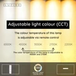 Lucide ELLY mennyezet lámpa műanyag, fekete, opál, LED, 24W, 2000lm, 2700K-4000K - 07121/24/30