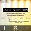 Lucide APPLAUSE mennyezet lámpa fém, szürke, LED, 26W, 850lm, 2200K-4000K - 23100/40/15
