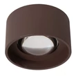 Lucide LENZ kültéri mennyezet lámpa fém, üveg, barna, áttetsző, LED, 8W, 450lm, 2700K, IP54 - 33805/08/97