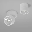 Maytoni SPIN kültéri mennyezet lámpa fém, üveg, fehér, áttetsző, LED, 3000K, 12W, 1050lm, IP54 - O310CL-L12W3K