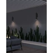NovaLuce TORRIN kültéri fali lámpa fém, üveg, antracit, LED, 3W, 230lm, 2700K, IP65 - NL-9050719