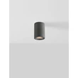 NovaLuce PAR kültéri mennyezet lámpa cement, szürke, GU10, IP65 - NL-9186181