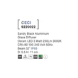 NovaLuce Ceci kültéri mennyezet lámpa fém, üveg, fekete, LED, 3000K, 3W, 230lm, IP65 - NL-9220022