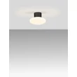 NovaLuce ALI kültéri mennyezet lámpa fém, üveg, antracit, fehér, LED, 6W, 644lm, 3000K, IP65 - NL-9971456