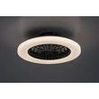 Rabalux DALFON2 mennyezeti ventilátoros lámpa fém, műanyag, fekete, fehér, LED, 48W, 1900lm, 3000K-6500K - 71329