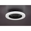 Rabalux DALFON2 mennyezeti ventilátoros lámpa fém, műanyag, fekete, fehér, LED, 48W, 1900lm, 3000K-6500K - 71329