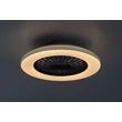 Rabalux DALFON2 mennyezeti ventilátoros lámpa fém, műanyag, fekete, fehér, LED, 48W, 3100lm, 3000K-6500K - 71330