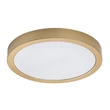 Rabalux SHAUN PLUS fürdőszobai mennyezet lámpa műanyag, fehér, arany,  LED, 4000K, 30W, 3000lm , IP44 - 75079