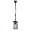 Rabalux TARPA kültéri függeszték fém, műanyag, fekete, áttetsző, E27, IP44 - 77107