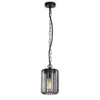 Rabalux TARPA kültéri függeszték fém, műanyag, fekete, áttetsző, E27, IP44 - 77107