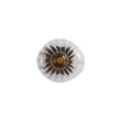 Searchlight Sunbeam fali lámpa fém, üveg, fekete, áttetsző, G9, 7W - 24122-1BK