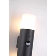 Searchlight Colorado  kültéri fali lámpa fém, műanyag, fekete, fehér, E27, 25W, IP44 - 39230BK-PIR