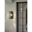 Searchlight Cincinnati kültéri fali lámpa fém, üveg, fekete, áttetsző, E27, 60W, IP44 - 39340BK