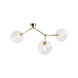 TK Lighting FAIRY mennyezet lámpa fém, üveg, arany, áttetsző, G9 - TK-10069