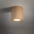 TK Lighting EVE mennyezet lámpa fa, barna, GX53 - TK-10121