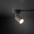 TK Lighting LIVIA fali lámpa fém, bézs, GU10 - TK-10222