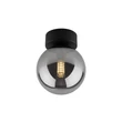 TK Lighting ESTERA fali lámpa fém, üveg, fekete, füstszín, G9 - TK-10255