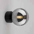 TK Lighting ESTERA fali lámpa fém, üveg, fekete, füstszín, G9 - TK-10255