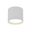 TK Lighting VIVO fürdőszobai mennyezet lámpa fém, fehér, GX53, IP44 - TK-10595
