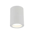 TK Lighting LIGNO fürdőszobai mennyezet lámpa fém, fehér, GU10, IP44 - TK-10932