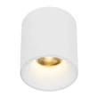 TK Lighting BLAZE mennyezet lámpa fém, fehér, LED, 12W, 3000K, 500Lm - TK-18157