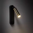 TK Lighting ENZO fali lámpa fém, fekete, arany, G9 - TK-6623