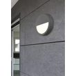 Trio PEDRO kültéri fali lámpa fém, műanyag, antracit, fehér, LED, 3000K, 9W, 1000lm, IP54 - 222860142