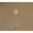 Trio CALA függeszték fém, arany, LED, 57W, 6750lm, 2300K-3000K-4000K - 354811579