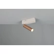 Trio AMBALA fali lámpa fém, barna, LED, 5.5W, 2300-3000-4000K, 500Lm - 849210165