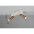 Trio AMBALA mennyezet lámpa fém, barna, LED, 11W, 2300-3000-4000K, 1000Lm - 849210265