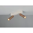 Trio AMBALA mennyezet lámpa fém, barna, LED, 11W, 2300-3000-4000K, 1000Lm - 849210265