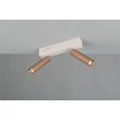 Trio AMBALA mennyezet lámpa fém, barna, LED, 11W, 2300-3000-4000K, 1000Lm - 849210265