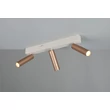 Trio AMBALA mennyezet lámpa fém, barna, LED, 16.5W, 2300-3000-4000K, 1500Lm - 849210365