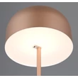 Trio BLAKE állólámpa fém, barna, LED, 2W, 250lm, 3000K - R49151165