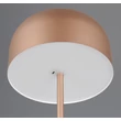 Trio BLAKE állólámpa fém, barna, LED, 2W, 250lm, 3000K - R49151165