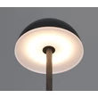 Trio TEMBO asztali lámpa műanyag, áttetsző, fekete, RGB-LED, 4.5W, 3000-4200-6500K, 420Lm - R53851102
