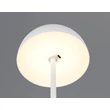 Trio MUNOZ asztali lámpa fém, fehér, LED, 1W, 120lm, 3000K - R54891131