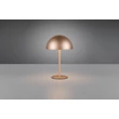 Trio MUNOZ asztali lámpa fém, barna, LED, 1W, 120lm, 3000K - R54891165
