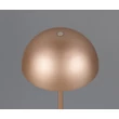 Trio MUNOZ asztali lámpa fém, barna, LED, 1W, 120lm, 3000K - R54891165