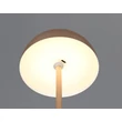 Trio MUNOZ asztali lámpa fém, barna, LED, 1W, 120lm, 3000K - R54891165