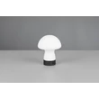 Trio DOOLEY asztali lámpa fém, üveg, fekete, fehér, LED, 1W, 140lm, 3000K - R54981131