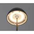 Trio ORTIZ asztali lámpa műanyag, fekete, LED, 2W, 150lm, 3000K, IP44 - R55601132
