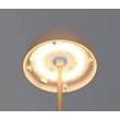 Trio ORTIZ asztali lámpa műanyag, barna, LED, 2W, 150lm, 3000K, IP44 - R55601165