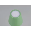 Trio DIAZ asztali lámpa fém, zöld, LED, 1W, 160lm, 2700K-6500K, IP44 - R55961149