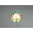 Trio DIAZ asztali lámpa fém, zöld, LED, 1W, 160lm, 2700K-6500K, IP44 - R55961149